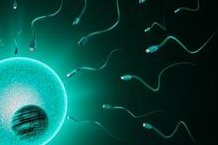 2026单身男可以做三代试管婴儿吗？