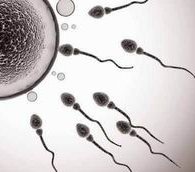 2026南京试管婴儿价格表