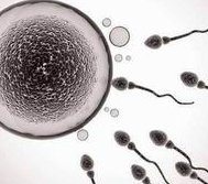 2026宁夏银川市专业助孕公司推荐榜单，这十家助孕机构名声在外