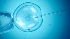 2026云南昆明十大助孕机构大盘点，助您拥有一个完整的家