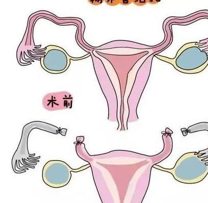 2026哈尔滨市助孕机构排行揭秘：哪家独占鳌头，各有绝技优势凸显