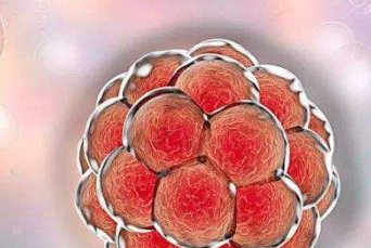 2026哈尔滨市试管婴儿私人机构排名，最新十大试管医院出炉