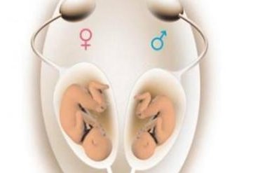 2026宁波最佳助孕机构大盘点，推荐宁波助孕公司排名揭晓！