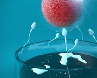 2026年上海中医药附属曙光医院三代试管费用全攻略，一次需要多少钱？